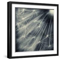 Search for Light-Ursula Abresch-Framed Photographic Print