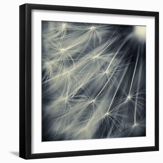 Search for Light-Ursula Abresch-Framed Photographic Print