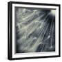 Search for Light-Ursula Abresch-Framed Photographic Print