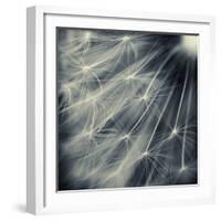 Search for Light-Ursula Abresch-Framed Photographic Print