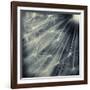 Search for Light-Ursula Abresch-Framed Photographic Print