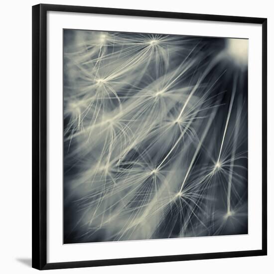 Search for Light-Ursula Abresch-Framed Photographic Print