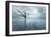 Searching for Life Color Edit-Moises Levy-Framed Photographic Print