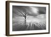 Searching for Life-Moises Levy-Framed Photographic Print