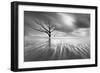 Searching for Life-Moises Levy-Framed Photographic Print