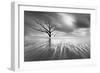 Searching for Life-Moises Levy-Framed Photographic Print
