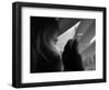 Searching for Something-Anders Samuelsson-Framed Photographic Print