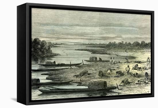 Searching for Turtle Eggs 1869 Peru-null-Framed Stretched Canvas