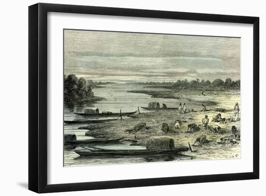 Searching for Turtle Eggs 1869 Peru-null-Framed Giclee Print