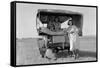 Searching for Work in the Cotton Fields-Dorothea Lange-Framed Stretched Canvas