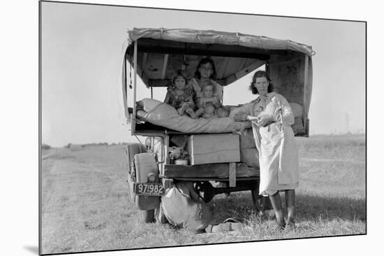 Searching for Work in the Cotton Fields-Dorothea Lange-Mounted Premium Giclee Print