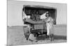 Searching for Work in the Cotton Fields-Dorothea Lange-Mounted Premium Giclee Print