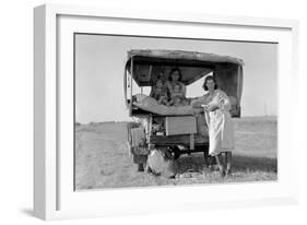 Searching for Work in the Cotton Fields-Dorothea Lange-Framed Art Print