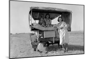 Searching for Work in the Cotton Fields-Dorothea Lange-Mounted Art Print