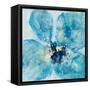 Searching in Blue II-Joyce Combs-Framed Stretched Canvas