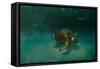 Searching the Shallows-Michael Jackson-Framed Stretched Canvas