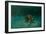 Searching the Shallows-Michael Jackson-Framed Giclee Print