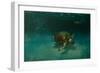 Searching the Shallows-Michael Jackson-Framed Giclee Print