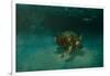 Searching the Shallows-Michael Jackson-Framed Giclee Print