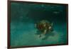 Searching the Shallows-Michael Jackson-Framed Giclee Print