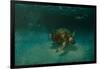 Searching the Shallows-Michael Jackson-Framed Giclee Print