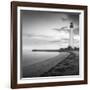 Searching-Moises Levy-Framed Photographic Print