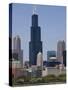 Sears Tower and Skyline, Chicago, Illinois, United States of America, North America-Amanda Hall-Stretched Canvas