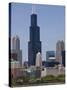 Sears Tower and Skyline, Chicago, Illinois, United States of America, North America-Amanda Hall-Stretched Canvas