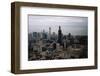 Sears Tower Nearing Completion-null-Framed Photographic Print