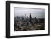 Sears Tower Nearing Completion-null-Framed Photographic Print