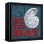 Seas the Day-Todd Williams-Framed Stretched Canvas