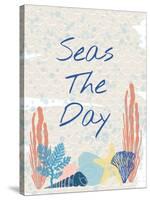 Seas The Day-Melody Hogan-Stretched Canvas