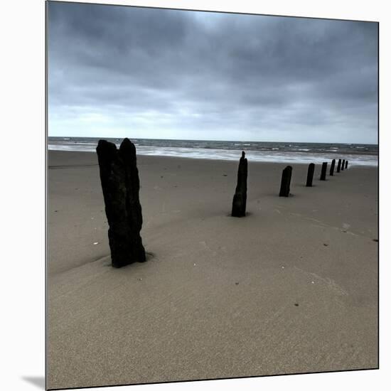 Seascape 01-Tom Quartermaine-Mounted Giclee Print