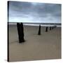 Seascape 01-Tom Quartermaine-Stretched Canvas