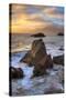 Seascape at Lizard Rock, San Francisco-Vincent James-Stretched Canvas