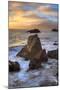 Seascape at Lizard Rock, San Francisco-Vincent James-Mounted Photographic Print