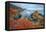 Seascape at Soberanes Point-Vincent James-Framed Stretched Canvas