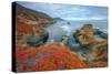 Seascape at Soberanes Point-Vincent James-Stretched Canvas