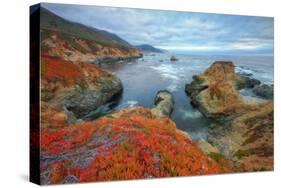 Seascape at Soberanes Point-Vincent James-Stretched Canvas