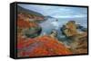 Seascape at Soberanes Point-Vincent James-Framed Stretched Canvas