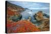 Seascape at Soberanes Point-Vincent James-Stretched Canvas