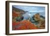 Seascape at Soberanes Point-Vincent James-Framed Photographic Print