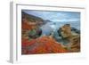 Seascape at Soberanes Point-Vincent James-Framed Photographic Print