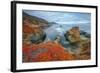 Seascape at Soberanes Point-Vincent James-Framed Photographic Print