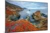 Seascape at Soberanes Point-Vincent James-Mounted Photographic Print