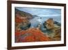 Seascape at Soberanes Point-Vincent James-Framed Photographic Print