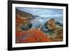 Seascape at Soberanes Point-Vincent James-Framed Photographic Print
