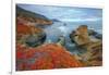 Seascape at Soberanes Point-Vincent James-Framed Photographic Print