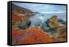 Seascape at Soberanes Point-Vincent James-Framed Stretched Canvas