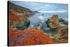 Seascape at Soberanes Point-Vincent James-Stretched Canvas